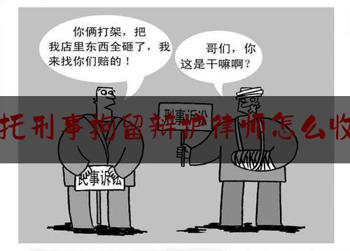 今天来科普一下委托刑事拘留辩护律师怎么收费,惠州专业的抖音seo