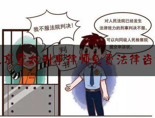 北京重大刑事律师免费法律咨询（北京十大刑事知名律师）