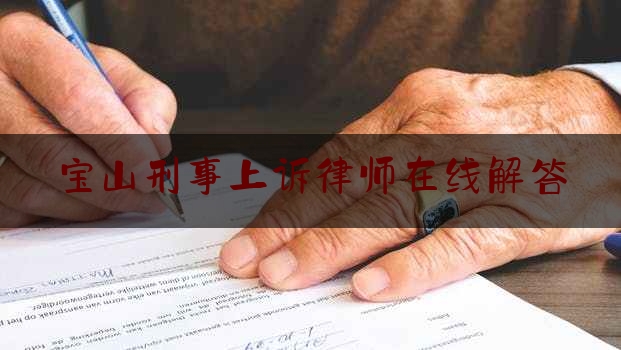 宝山刑事上诉律师在线解答（2021年上海市宝山区刑事案件）