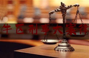 金牛区刑事大案律师（金牛区刑事大案律师事务所）