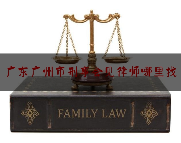 广东广州市刑事会见律师哪里找（广州刑事案件律师咨询）