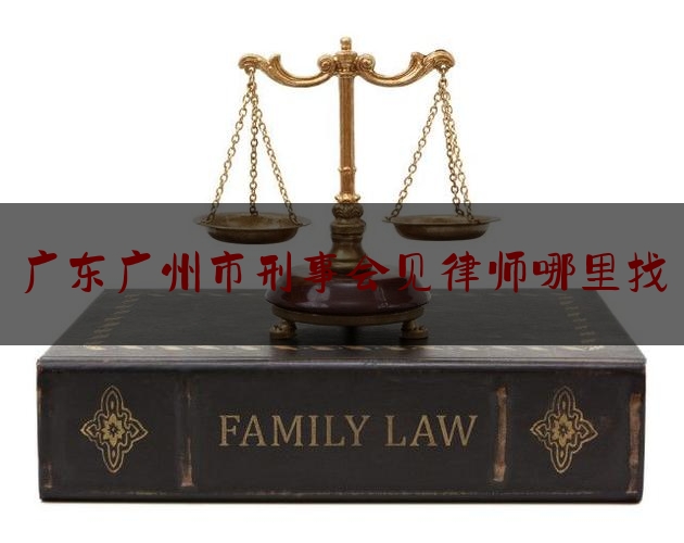 广东广州市刑事会见律师哪里找（广州刑事案件律师咨询）