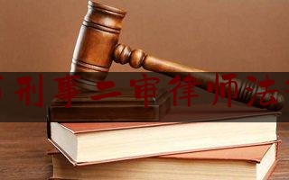 惠州市刑事二审律师法律服务（惠州刑事律师咨询免费）