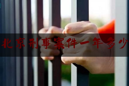 北京刑事案件一年多少（北京刑事案件量刑标准）