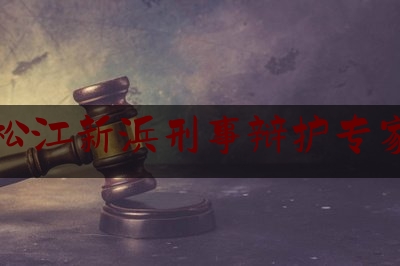 松江新浜刑事辩护专家（松江区刑事案件）