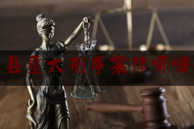 南召县重大刑事案律师哪个好（南召律师事务所怎样收费）