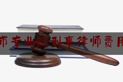 北京市专业的刑事律师费用多少（北京刑事案件律师收费标准和方式）
