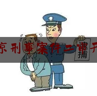 北京刑事案件二审开庭（北京刑事二审律师）