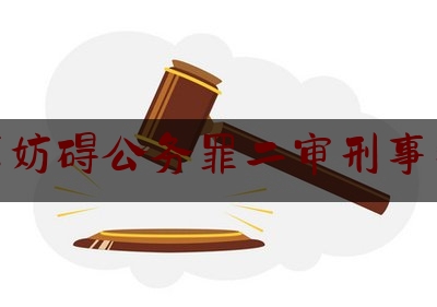 北京妨碍公务罪二审刑事判决（妨碍公务罪判例）