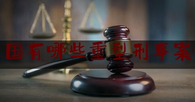 中国有哪些重型刑事案件