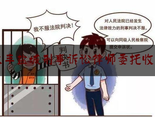 大丰盐城刑事诉讼律师委托收费（律师事务所刑事案件收费）