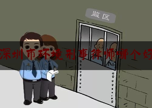 深圳市环境刑事律师哪个好（深圳刑事律师排行榜）