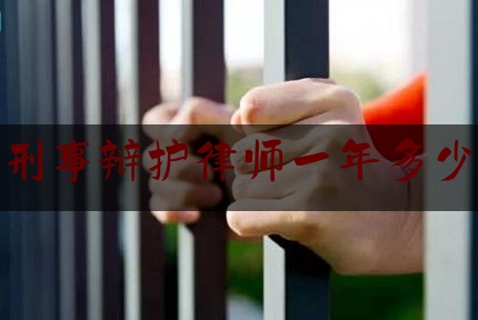 找刑事辩护律师一年多少钱（刑事案件辩护律师要多少钱）