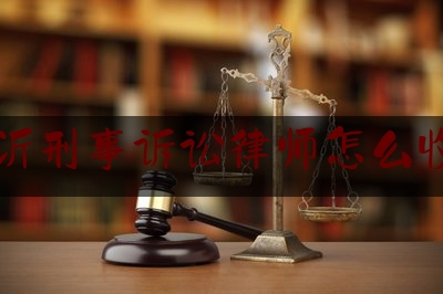 临沂刑事诉讼律师怎么收费（临沂刑事起诉律师）