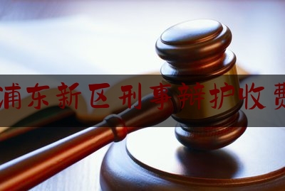 浦东新区刑事辩护收费（上海 刑事辩护）