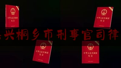 嘉兴桐乡市刑事官司律师（浙江嘉兴中院开庭公告）