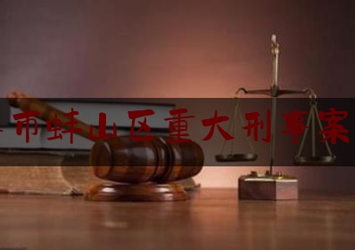 蚌埠市蚌山区重大刑事案律师（蚌埠排前十的刑事案件）