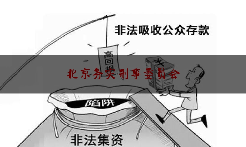 北京务实刑事委员会（北京刑事事务所）