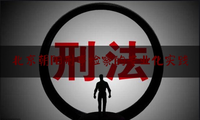 北京朝阳刑事检察的专业化实践（刑事检察业务培训班）