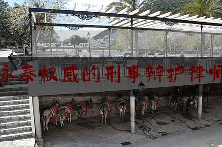 永泰权威的刑事辩护律师