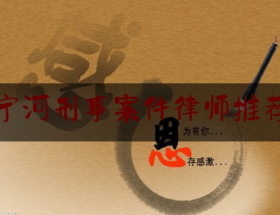 简单普及一下宁河刑事案件律师推荐,天津市宁河区人力资源和社会保障局官网