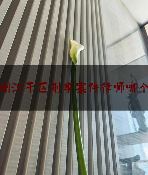 杭州江干区刑事案件律师哪个好（杭州市江干区律师）