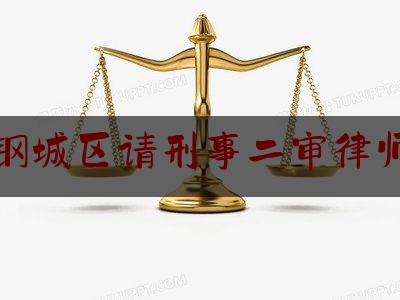 钢城区请刑事二审律师（刑事二审律师收费标准）