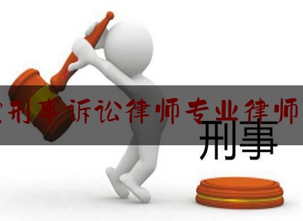 普陀刑事诉讼律师专业律师团队（上海市普陀区律师事务所及律师名册）