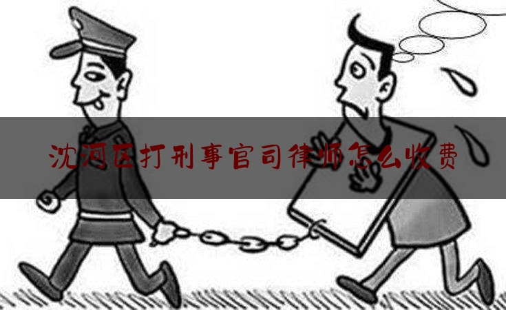 科普一下!沈河区打刑事官司律师怎么收费,长沙霸占车位事件