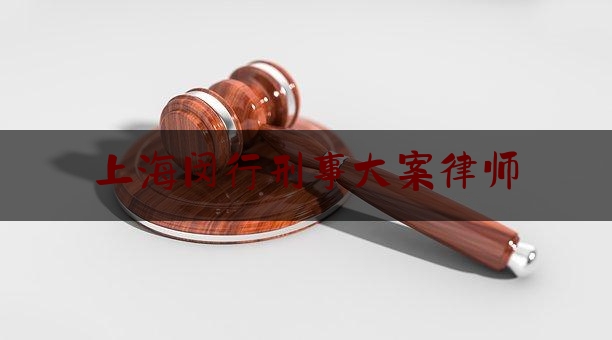 上海闵行刑事大案律师（上海闵行律师排行榜）