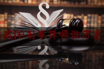 咸阳刑事律师谁厉害