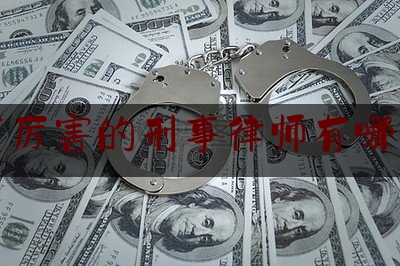 北京市厉害的刑事律师有哪些律所（北京刑事最好的律师名单）