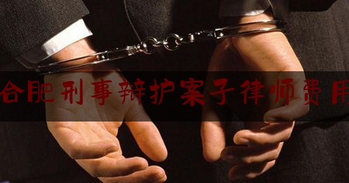 合肥刑事辩护案子律师费用（合肥刑事案件辩护律师）