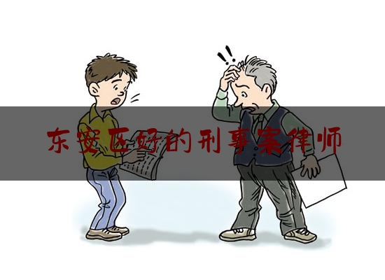 东安区好的刑事案律师（东安县最有名的律师）