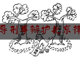 法庭指导刑事辩护北京律师团队（法庭指导刑事辩护北京律师团队电话）