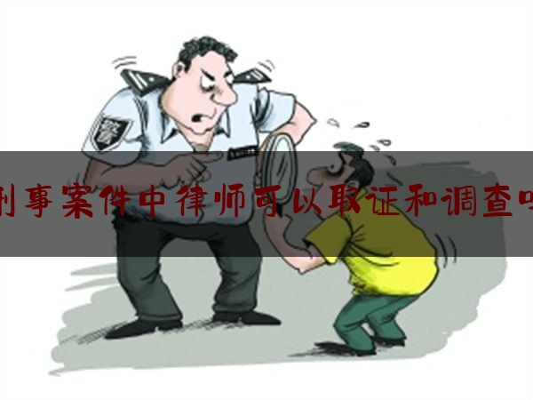 刑事案件中律师可以取证和调查吗