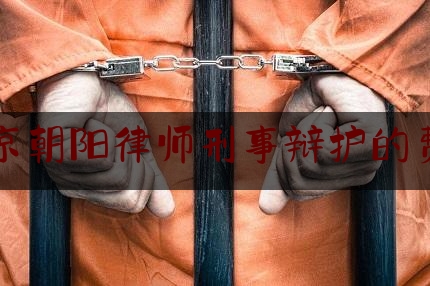 北京朝阳律师刑事辩护的费用（北京刑事案辩护律师）