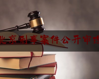 北京刑事案件公开审理（北京市刑事判决书）