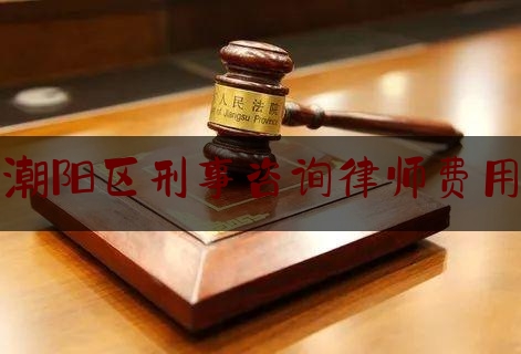 潮阳区刑事咨询律师费用（潮南刑事律师）