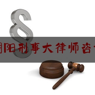 朝阳刑事大律师咨询（北京朝阳刑事辩护律师）