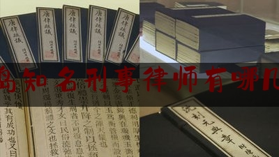 青岛知名刑事律师有哪几个（青岛知名刑事律师有哪几个名字）