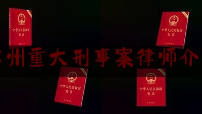 苏州重大刑事案律师介绍（苏州十大刑事律师）