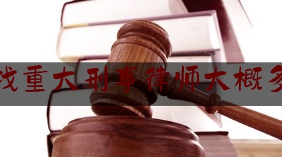 宿迁找重大刑事律师大概多少钱（宿迁刑事案件辩护律师）