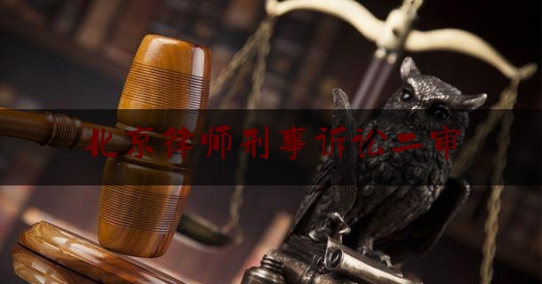 北京律师刑事诉讼二审（北京二审刑事辩护律师）