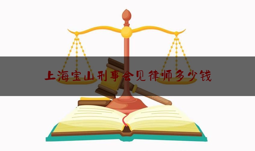 上海宝山刑事会见律师多少钱（上海市律师会见犯罪嫌疑人的规定）