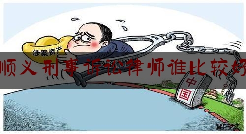 顺义刑事诉讼律师谁比较好（顺义刑事诉讼律师谁比较好点）