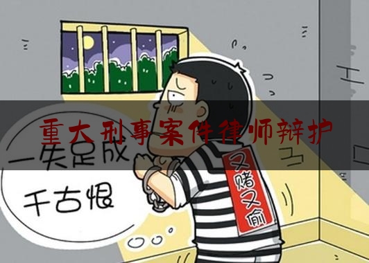 重大刑事案件律师辩护（重大刑事案件律师辩护费多少钱）