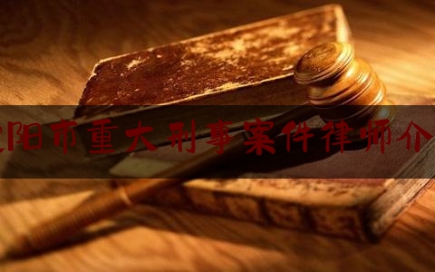 沈阳市重大刑事案件律师介绍（沈阳刑事律师事务所排名）