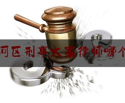 天河区刑事大案律师哪个好（天河区律师事务所排名）