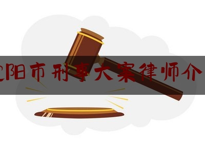 沈阳市刑事大案律师介绍（沈阳十大刑事律师排名）